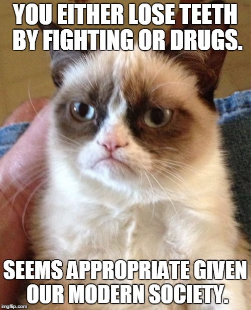 Grumpy Cat | YOU EITHER LOSE TEETH BY FIGHTING OR DRUGS. SEEMS APPROPRIATE GIVEN OUR MODERN SOCIETY. | image tagged in memes,grumpy cat | made w/ Imgflip meme maker