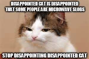 Disappointed Cat | DISAPPOINTED CAT IS DISAPPOINTED THAT SOME PEOPLE ARE MICROWAVE SLOBS; STOP DISAPPOINTING DISAPPOINTED CAT | image tagged in disappointed cat | made w/ Imgflip meme maker