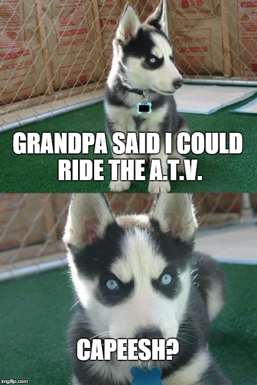 Insanity Puppy Meme | GRANDPA SAID I COULD RIDE THE A.T.V. CAPEESH? | image tagged in memes,insanity puppy | made w/ Imgflip meme maker