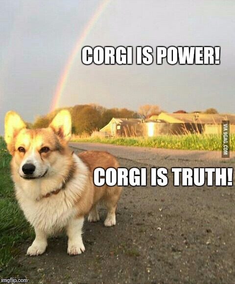 Corgi's | CORGI IS POWER! CORGI IS TRUTH! | image tagged in corgi,memes,funny memes,lighting bolt,bolt,disney | made w/ Imgflip meme maker