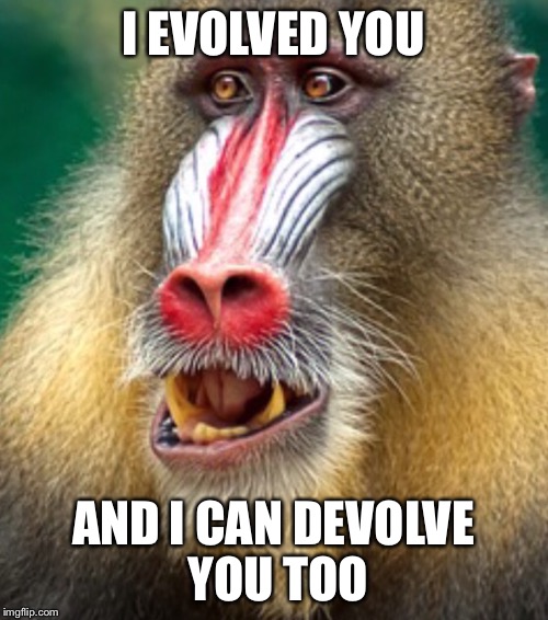 I EVOLVED YOU AND I CAN DEVOLVE YOU TOO | image tagged in colorful baboon | made w/ Imgflip meme maker