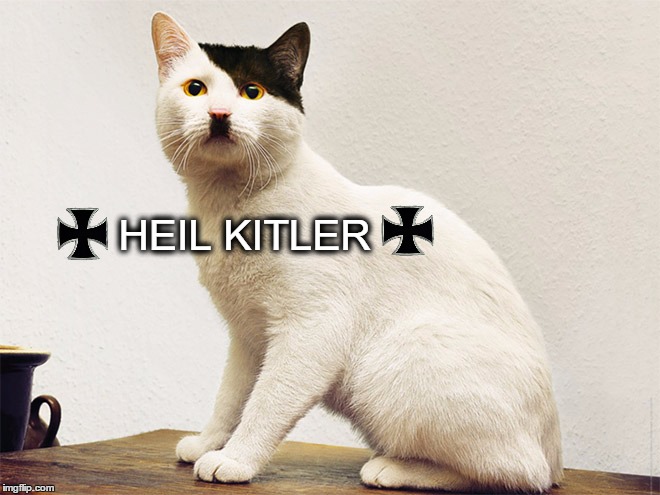 Kitler | HEIL KITLER | image tagged in kitler,hitler cat,lol,nazicat,funny | made w/ Imgflip meme maker