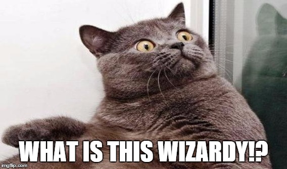 WHAT IS THIS WIZARDY!? | made w/ Imgflip meme maker