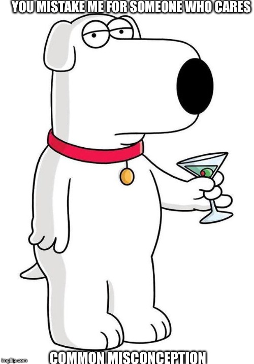 Sarcastic Brian Griffin | YOU MISTAKE ME FOR SOMEONE WHO CARES; COMMON MISCONCEPTION | image tagged in sarcastic brian griffin | made w/ Imgflip meme maker