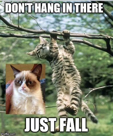 hang in there, determined kitty | DON'T HANG IN THERE; JUST FALL | image tagged in hang in there determined kitty | made w/ Imgflip meme maker