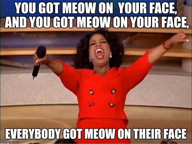 I don't even........why? | YOU GOT MEOW ON  YOUR FACE, AND YOU GOT MEOW ON YOUR FACE, EVERYBODY GOT MEOW ON THEIR FACE | image tagged in memes,oprah you get a,cats,meow,pets,kitty | made w/ Imgflip meme maker