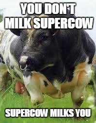 SuperCow! | YOU DON'T MILK SUPERCOW; SUPERCOW MILKS YOU | image tagged in supercow | made w/ Imgflip meme maker
