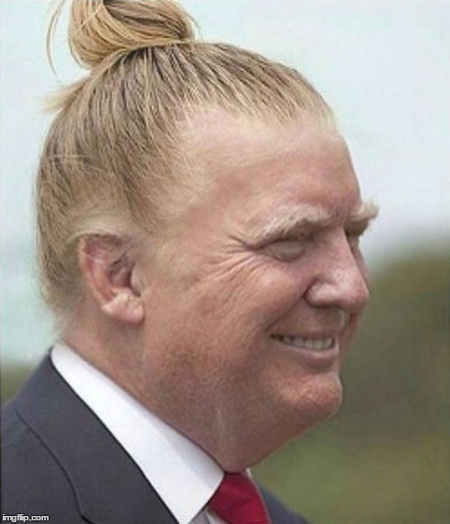 Donald Trump Man Bun | image tagged in donald trump man bun | made w/ Imgflip meme maker