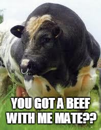 SuperCow! | YOU GOT A BEEF WITH ME MATE?? | image tagged in supercow | made w/ Imgflip meme maker
