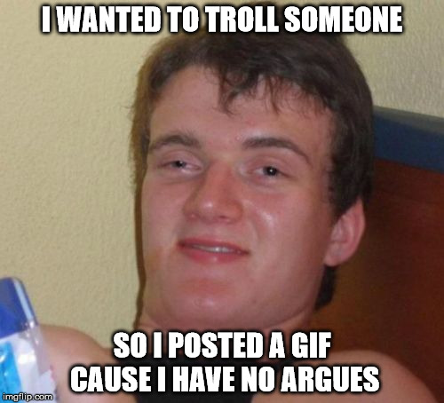10 Guy Meme | I WANTED TO TROLL SOMEONE; SO I POSTED A GIF CAUSE I HAVE NO ARGUES | image tagged in memes,10 guy | made w/ Imgflip meme maker