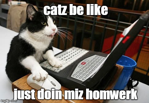 Suspicious cat | catz be like; just doin miz homwerk | image tagged in cat computer | made w/ Imgflip meme maker