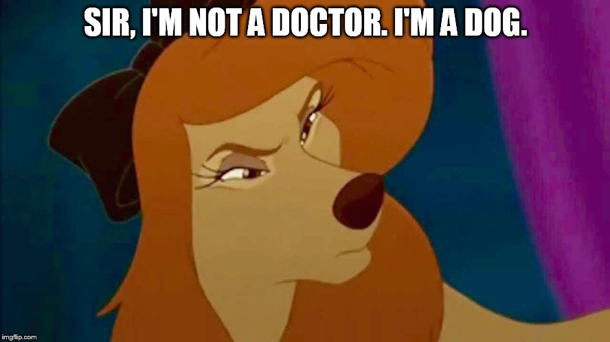I'm Not A Doctor. I'm A Dog. |  SIR, I'M NOT A DOCTOR. I'M A DOG. | image tagged in dixie,memes,disney,the fox and the hound 2,dog,doctor | made w/ Imgflip meme maker