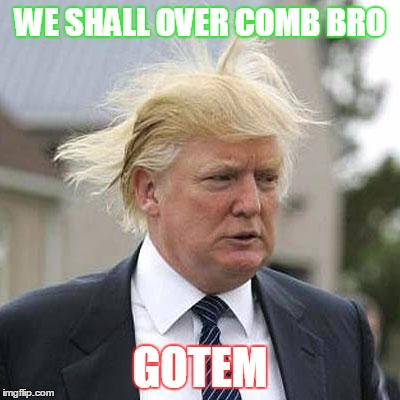 Donald Trump | WE SHALL OVER COMB BRO; GOTEM | image tagged in donald trump | made w/ Imgflip meme maker