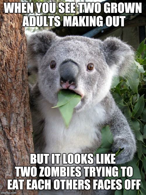 Surprised Koala Meme | WHEN YOU SEE TWO GROWN ADULTS MAKING OUT; BUT IT LOOKS LIKE TWO ZOMBIES TRYING TO EAT EACH OTHERS FACES OFF | image tagged in memes,surprised koala | made w/ Imgflip meme maker