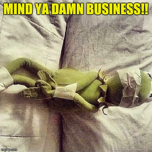 Kermit Bound | MIND YA DAMN BUSINESS!! | image tagged in kermit bound | made w/ Imgflip meme maker