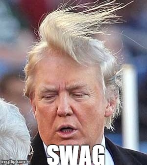 Beauty at it's best**worst | SWAG | image tagged in ugly,trump,no,swag | made w/ Imgflip meme maker