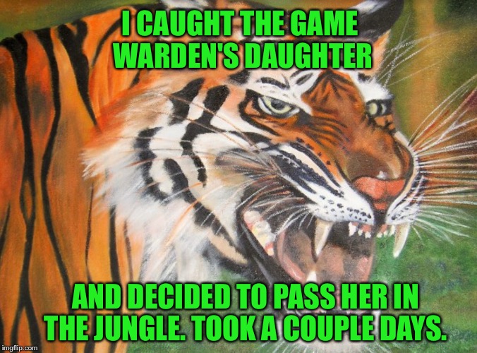 Hipster tiger | I CAUGHT THE GAME WARDEN'S DAUGHTER AND DECIDED TO PASS HER IN THE JUNGLE. TOOK A COUPLE DAYS. | image tagged in hipster tiger | made w/ Imgflip meme maker