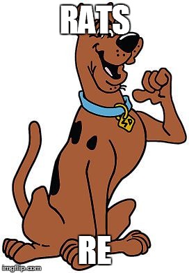 Scooby Doo | RATS; RE | image tagged in scooby doo | made w/ Imgflip meme maker