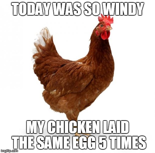 Today was so windy | TODAY WAS SO WINDY; MY CHICKEN LAID THE SAME EGG 5 TIMES | image tagged in chicken,windy | made w/ Imgflip meme maker