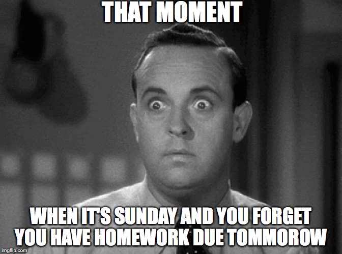 shocked face | THAT MOMENT; WHEN IT'S SUNDAY AND YOU FORGET YOU HAVE HOMEWORK DUE TOMMOROW | image tagged in shocked face | made w/ Imgflip meme maker