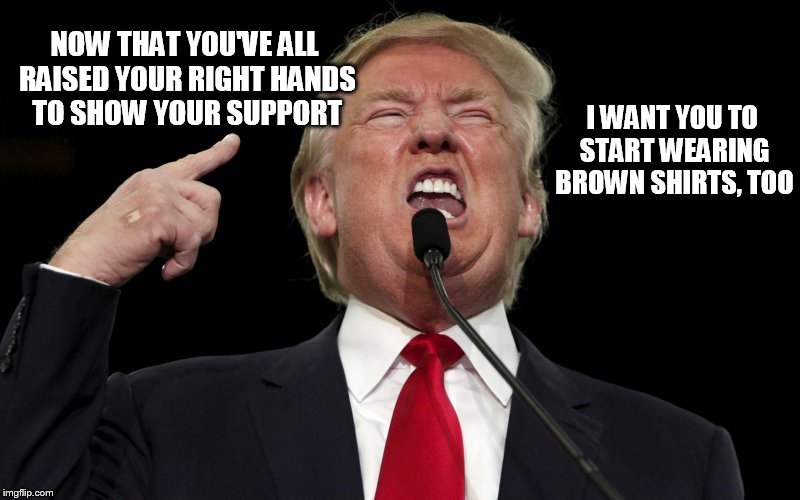 trump3 | I WANT YOU TO START WEARING BROWN SHIRTS, TOO; NOW THAT YOU'VE ALL RAISED YOUR RIGHT HANDS TO SHOW YOUR SUPPORT | image tagged in donald trump | made w/ Imgflip meme maker