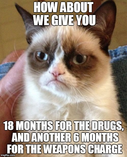 Grumpy Cat Meme | HOW ABOUT WE GIVE YOU 18 MONTHS FOR THE DRUGS,  AND ANOTHER 6 MONTHS FOR THE WEAPONS CHARGE | image tagged in memes,grumpy cat | made w/ Imgflip meme maker