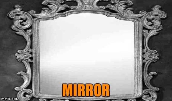 MIRROR | made w/ Imgflip meme maker