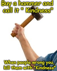 kill them with kindness | Buy a hammer and call it " Kindness"; When people wrong you, kill them with "Kindness" | image tagged in hammer | made w/ Imgflip meme maker
