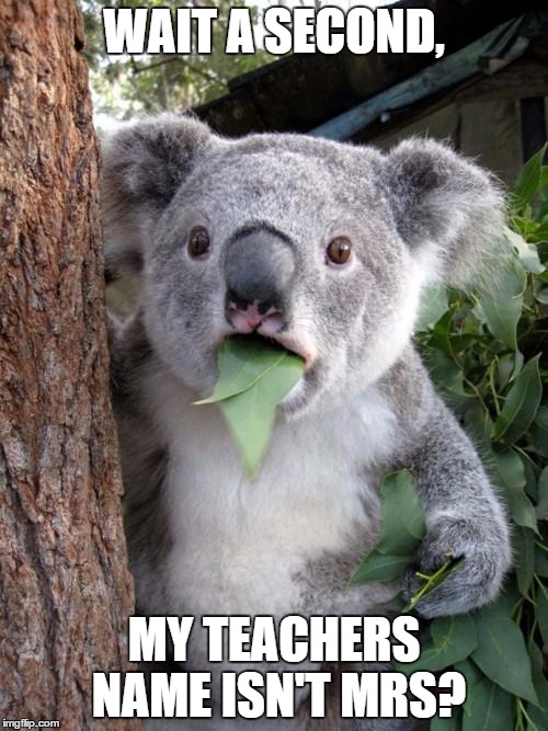 Surprised Koala Meme | WAIT A SECOND, MY TEACHERS NAME ISN'T MRS? | image tagged in memes,surprised koala | made w/ Imgflip meme maker