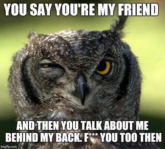 WTF Owl | YOU SAY YOU'RE MY FRIEND; AND THEN YOU TALK ABOUT ME BEHIND MY BACK. F*** YOU TOO THEN | image tagged in wtf owl | made w/ Imgflip meme maker