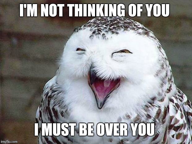 owl happy | I'M NOT THINKING OF YOU; I MUST BE OVER YOU | image tagged in owl happy | made w/ Imgflip meme maker