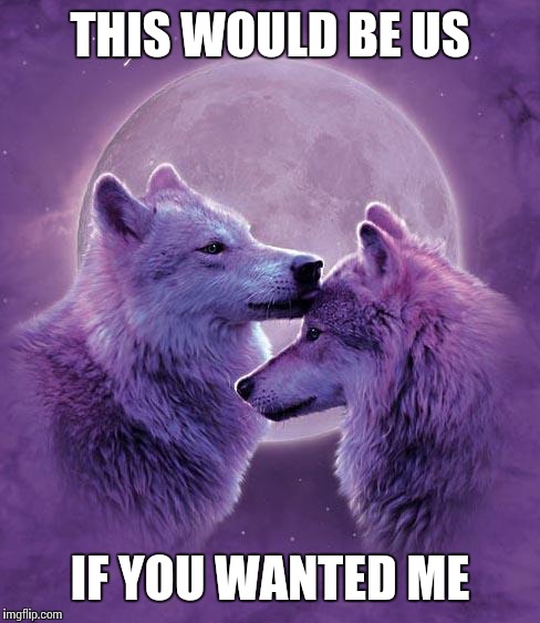 Wolf lovers | THIS WOULD BE US; IF YOU WANTED ME | image tagged in wolf lovers | made w/ Imgflip meme maker