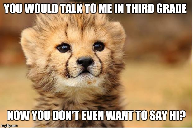 WTF cheetah | YOU WOULD TALK TO ME IN THIRD GRADE; NOW YOU DON'T EVEN WANT TO SAY HI? | image tagged in wtf cheetah | made w/ Imgflip meme maker