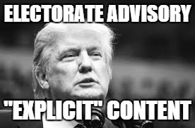 ELECTORATE ADVISORY; "EXPLICIT" CONTENT | image tagged in donald trump,trump 2016 | made w/ Imgflip meme maker