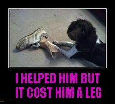 I HELPED HIM BUT IT COST HIM A LEG | made w/ Imgflip meme maker