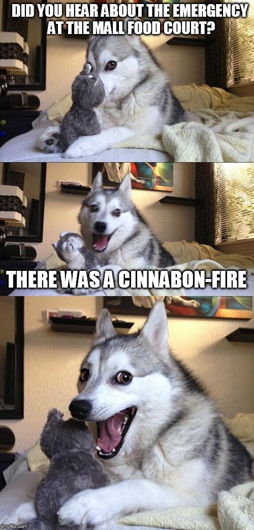 I still love this guy. | DID YOU HEAR ABOUT THE EMERGENCY AT THE MALL FOOD COURT? THERE WAS A CINNABON-FIRE | image tagged in memes,bad pun dog | made w/ Imgflip meme maker