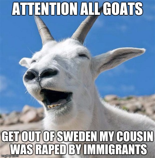 Swedish politics | ATTENTION ALL GOATS; GET OUT OF SWEDEN MY COUSIN WAS RAPED BY IMMIGRANTS | image tagged in memes,laughing goat | made w/ Imgflip meme maker