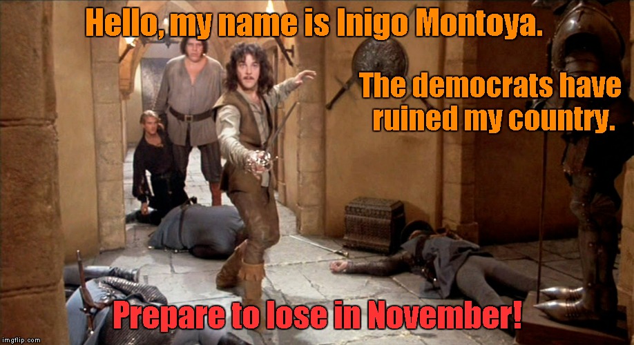 Democrats ruined my country | Hello, my name is Inigo Montoya. The democrats have ruined my country. Prepare to lose in November! | image tagged in prepare to lose,inigo montoya | made w/ Imgflip meme maker