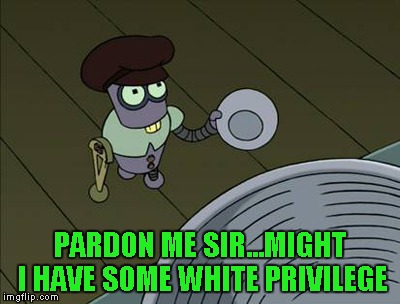 PARDON ME SIR...MIGHT I HAVE SOME WHITE PRIVILEGE | made w/ Imgflip meme maker