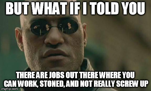 Matrix Morpheus Meme | BUT WHAT IF I TOLD YOU THERE ARE JOBS OUT THERE WHERE YOU CAN WORK, STONED, AND NOT REALLY SCREW UP | image tagged in memes,matrix morpheus | made w/ Imgflip meme maker