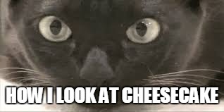 HOW I LOOK AT CHEESECAKE | image tagged in how i look at cheesecake | made w/ Imgflip meme maker