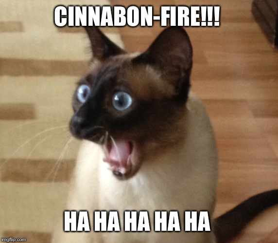 CINNABON-FIRE!!! HA HA HA HA HA | made w/ Imgflip meme maker