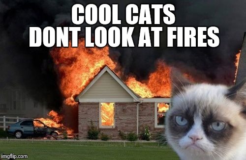 Burn Kitty | COOL CATS; DONT LOOK AT FIRES | image tagged in memes,burn kitty | made w/ Imgflip meme maker