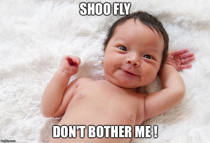 SHOO FLY; DON'T BOTHER ME ! | image tagged in baby,natalism,shoo fly,shew fly,get lost | made w/ Imgflip meme maker