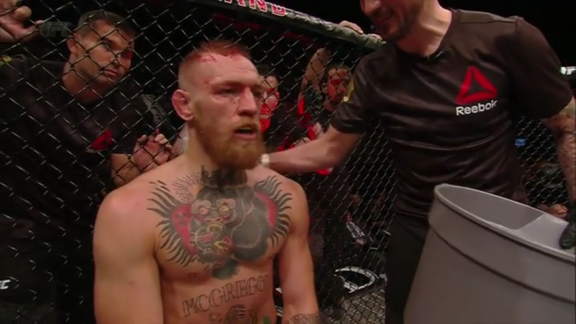 High Quality Conor McGregor & His Gaggle of Stunned Gazelle's Blank Meme Template