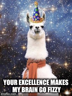 Happy Birthday Alpaca | YOUR EXCELLENCE MAKES MY BRAIN GO FIZZY | image tagged in happy birthday alpaca | made w/ Imgflip meme maker