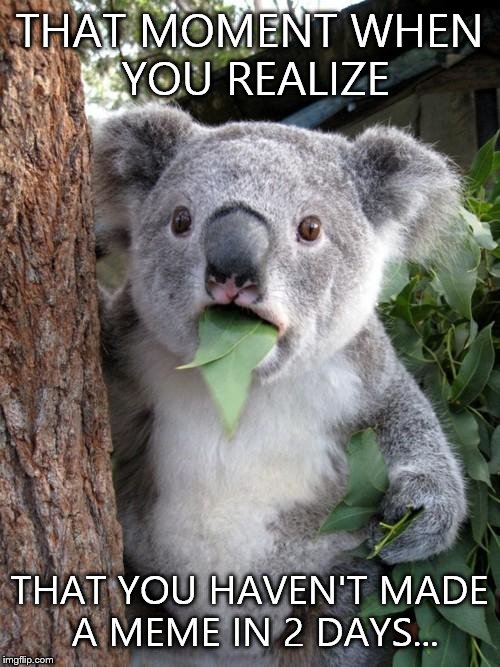 Surprised Koala | THAT MOMENT WHEN YOU REALIZE; THAT YOU HAVEN'T MADE A MEME IN 2 DAYS... | image tagged in memes,surprised koala | made w/ Imgflip meme maker