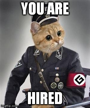 YOU ARE HIRED | made w/ Imgflip meme maker