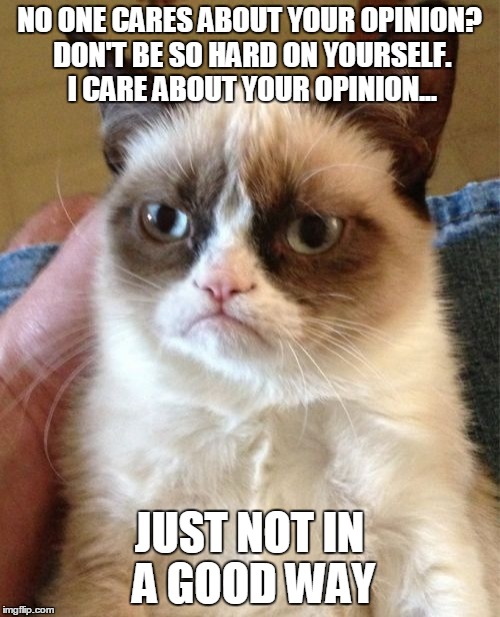 Grumpy Cat | NO ONE CARES ABOUT YOUR OPINION? DON'T BE SO HARD ON YOURSELF. I CARE ABOUT YOUR OPINION... JUST NOT IN A GOOD WAY | image tagged in memes,grumpy cat | made w/ Imgflip meme maker