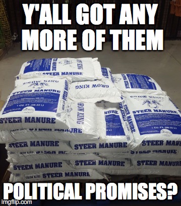 It's Voter Growing Season | Y'ALL GOT ANY MORE OF THEM; POLITICAL PROMISES? | image tagged in election 2016,liberals,hillary,trump,bernie | made w/ Imgflip meme maker